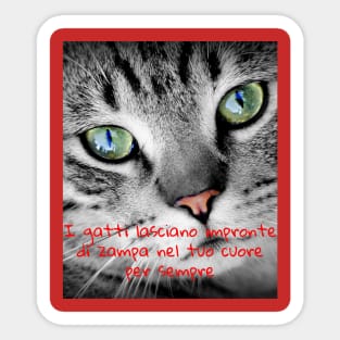 I gatti lasciano impronte di zampa nel tuo cuore per sempre Sticker